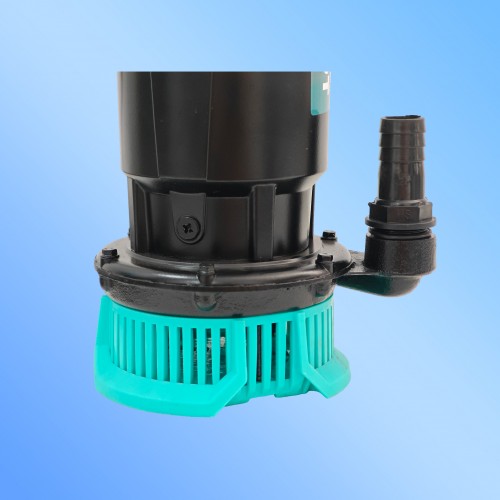 hover image